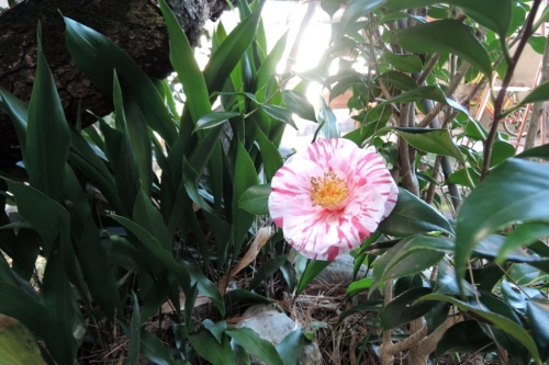 DSCN4195.jpg
